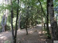 2026-06-30 Il Monte Conero 025